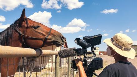 Alejandra Vasquez and Sam Osborn | Filmmaker Q&A: asset-mezzanine-16x9