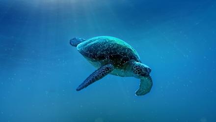 Preview: asset-mezzanine-16x9