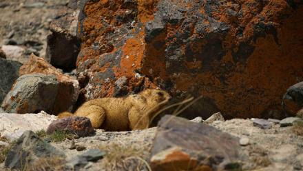 Checking Camera Trackers: asset-mezzanine-16x9