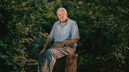 Official Preview: asset-mezzanine-16x9