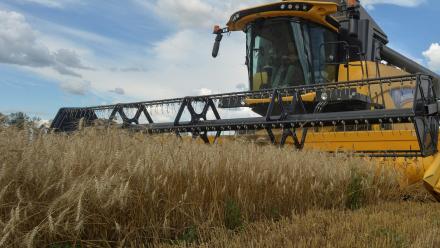 Russia, Ukraine reach agreement to resume grain shipments: asset-mezzanine-16x9
