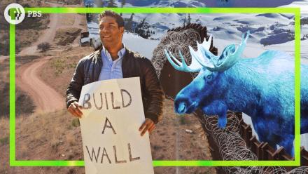 Should the USA Build a Wall on BOTH of its Borders?: asset-mezzanine-16x9