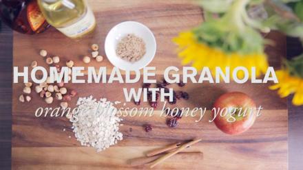 Homemade Granola with Orange Blossom Honey Yogurt : asset-mezzanine-16x9