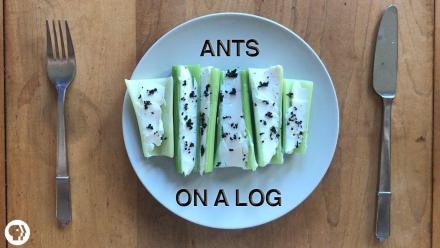 The Case For Eating Bugs: asset-mezzanine-16x9