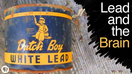 What Does Lead Poisoning Do To Your Brain?: asset-mezzanine-16x9
