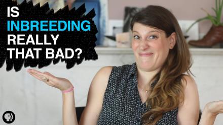 Is Inbreeding Really That Bad?: asset-mezzanine-16x9
