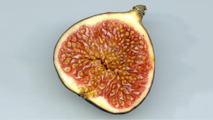 Are There Dead Wasps In Figs?: asset-mezzanine-16x9