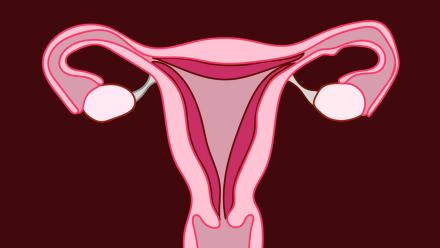 Three Facts About Periods: asset-mezzanine-16x9