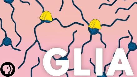 These Tiny Cells Shape Your Life: asset-mezzanine-16x9