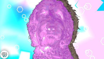 Artificial Intelligence Can Hallucinate, Too.: asset-mezzanine-16x9