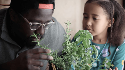 Grow an Herb Garden: asset-mezzanine-16x9