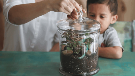 Plant a Terrarium: asset-mezzanine-16x9