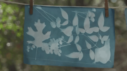 Make Sun Prints: asset-mezzanine-16x9