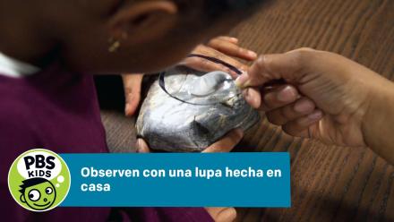 Observen con una lupa hecha en casa: asset-mezzanine-16x9