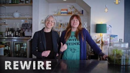 What's up with Kimchi and Kombucha?: asset-mezzanine-16x9