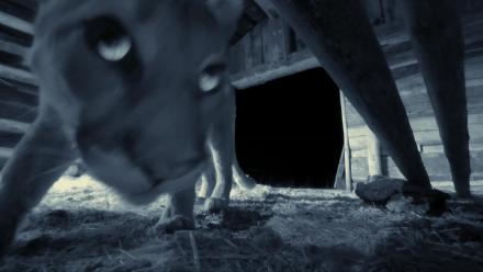 Mountain Diaries | Rocky Mountain Horror Show: asset-mezzanine-16x9