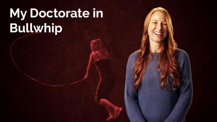 Jessica Cail: My Doctorate in Bullwhip: asset-mezzanine-16x9