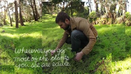 Forage: asset-mezzanine-16x9