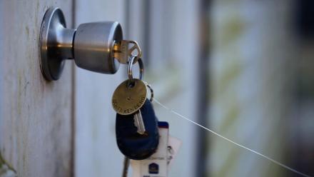 Reverse Motion Effects: asset-mezzanine-16x9