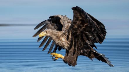 Episode 1 Preview: asset-mezzanine-16x9