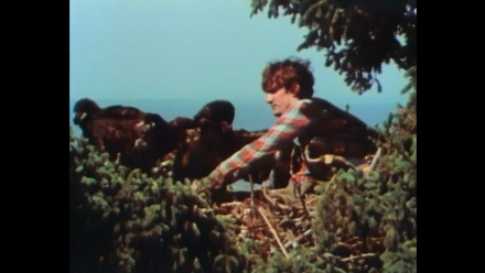 Restoring and Hacking Bald Eagles in NY: asset-mezzanine-16x9