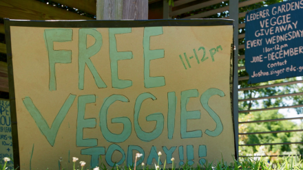 Deanwood Neighbors Fight Food Insecurity: asset-mezzanine-16x9