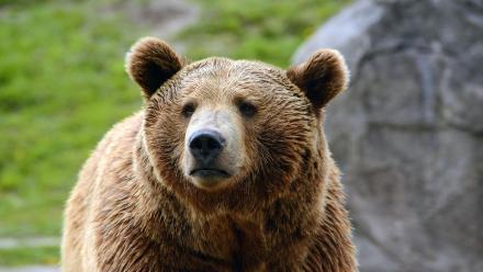 Episode 3 Preview: asset-mezzanine-16x9