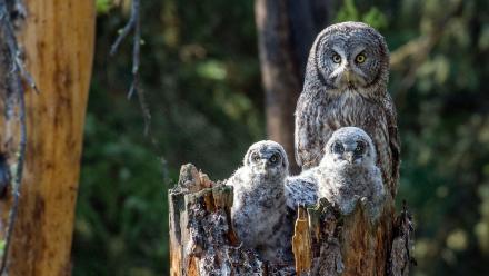 Episode 2 Preview: asset-mezzanine-16x9