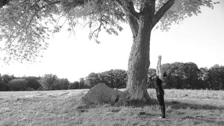 Vision: asset-mezzanine-16x9