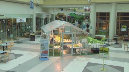 Grow Food in the Galleria Mall: asset-mezzanine-16x9