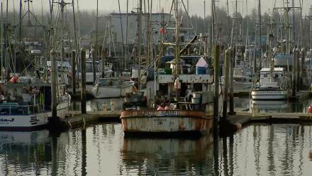 Food Rebels: Steve Mintz & Karl Nish, American Tuna: asset-mezzanine-16x9