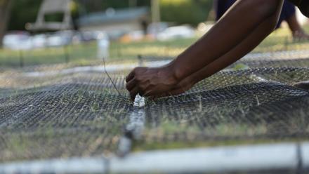 Hundreds of Thousands | Preview: asset-mezzanine-16x9