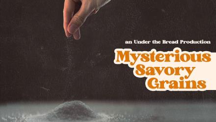 MSG: Mysterious Savory Grains: asset-mezzanine-16x9