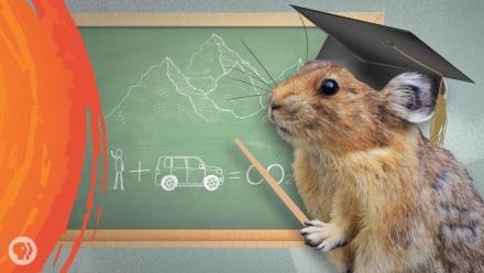 What the Cutest Animal Can Teach Us About Saving Ourselves: asset-mezzanine-16x9