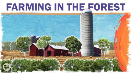 Can Farms and Forests Coexist?: asset-mezzanine-16x9