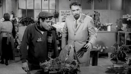 Little Shop of Horrors (1960): asset-mezzanine-16x9
