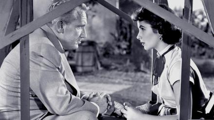 Father’s Little Dividend (1951): asset-mezzanine-16x9