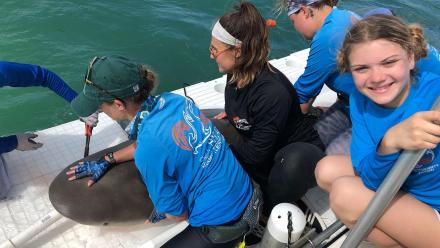 Kid Stew 309: asset-mezzanine-16x9