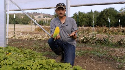Three Feathers Farm: asset-mezzanine-16x9