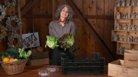 Hydroponic Farming - Harvesting Health: asset-mezzanine-16x9