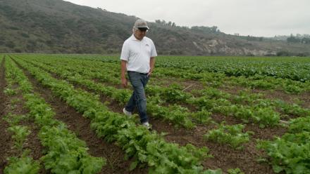 San Miguel Produce: asset-mezzanine-16x9