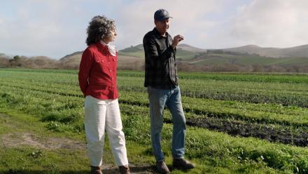 Diversified Farms – Harvesting Health: asset-mezzanine-16x9