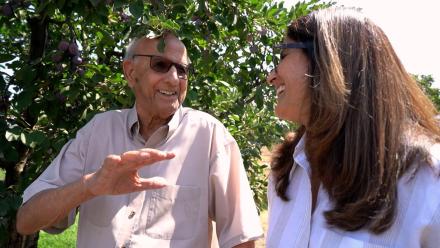 Manseena Orchards: asset-mezzanine-16x9