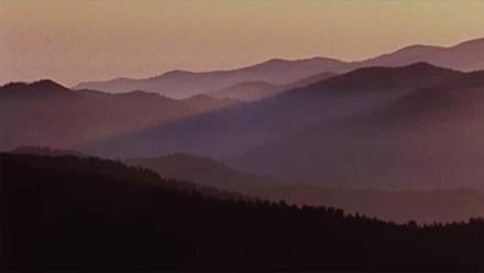 Filmmakers Interview | The Park Idea: asset-mezzanine-16x9