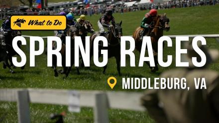 The Middleburg Spring Races are a Century Old Tradition in Virginia: asset-mezzanine-16x9
