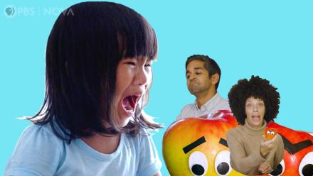 Why Toddlers Throw Tantrums: asset-mezzanine-16x9