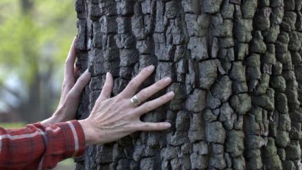 Forest Her: The Next Wave of Conservation: asset-mezzanine-16x9