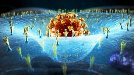 How Viruses Like the Novel Coronavirus Evolve: asset-mezzanine-16x9