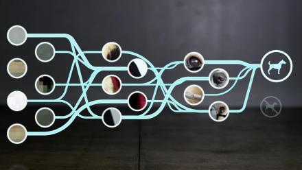 What is a Neural Net?: asset-mezzanine-16x9