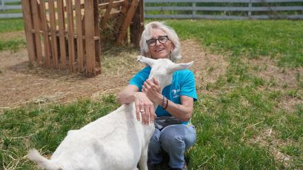 Rescuing Animals: asset-mezzanine-16x9